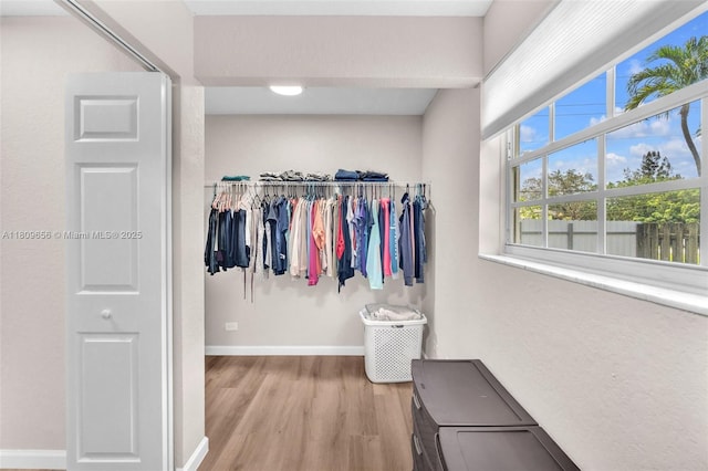 4271 SW 67th Ter, Davie, FL 33314 - spacious closet featuring light wood-style flooring