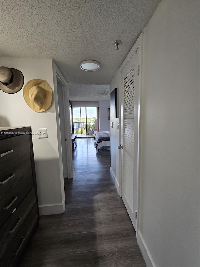 900 NE 195th St Unit 709, Miami, FL 33179 - hall featuring baseboards, a textured ceiling, and dark wood finished floors