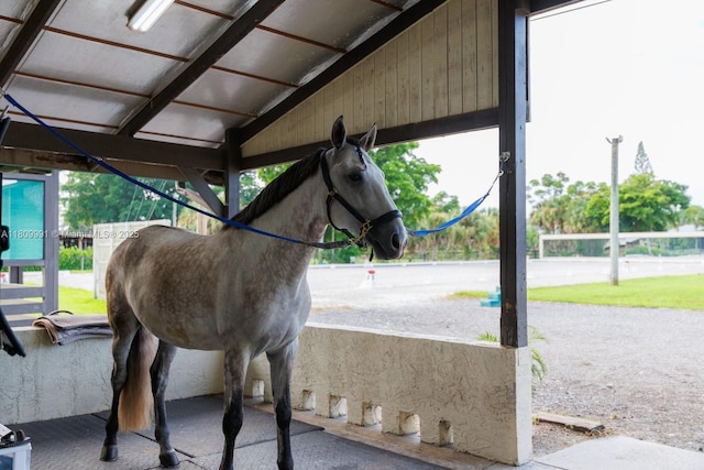 1230 F Rd, Loxahatchee, FL 33470 - view of stable