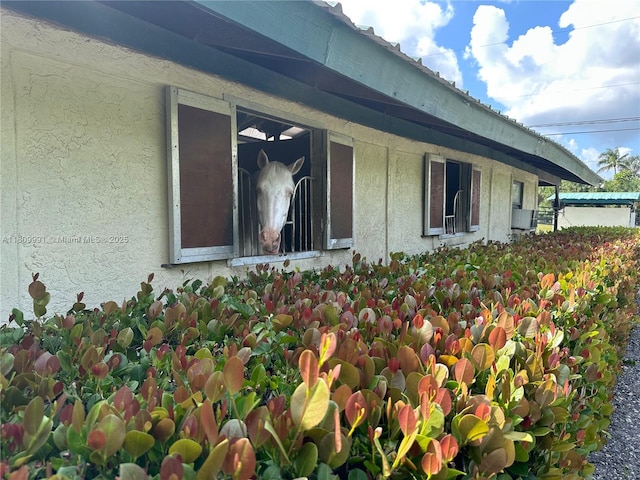 1230 F Rd, Loxahatchee, FL 33470 - view of property exterior featuring stucco siding