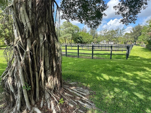 1230 F Rd, Loxahatchee, FL 33470 - view of yard
