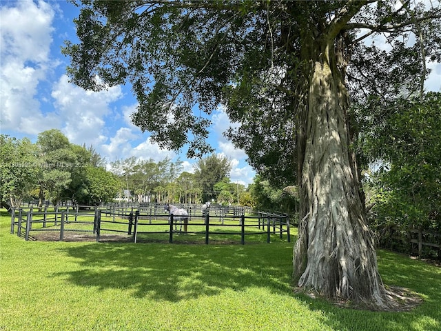1230 F Rd, Loxahatchee, FL 33470 - view of yard