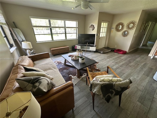 1230 F Rd, Loxahatchee, FL 33470 - living area with wood finished floors, a ceiling fan, and a textured ceiling