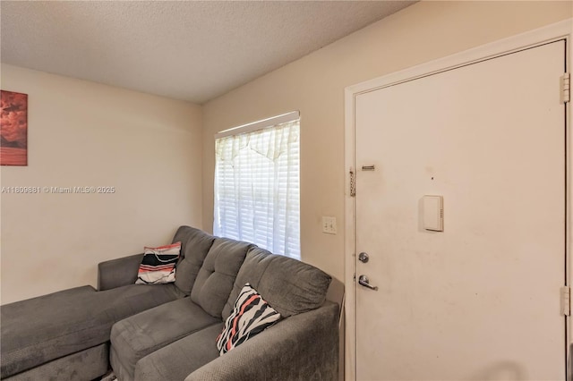 5156 NE 6th Ave Unit 227, Oakland Park, FL 33334 - living area with a textured ceiling