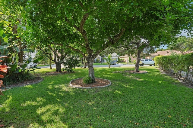 5708 NW 47th Ct, Coral Springs, FL 33067 - view of green lawn