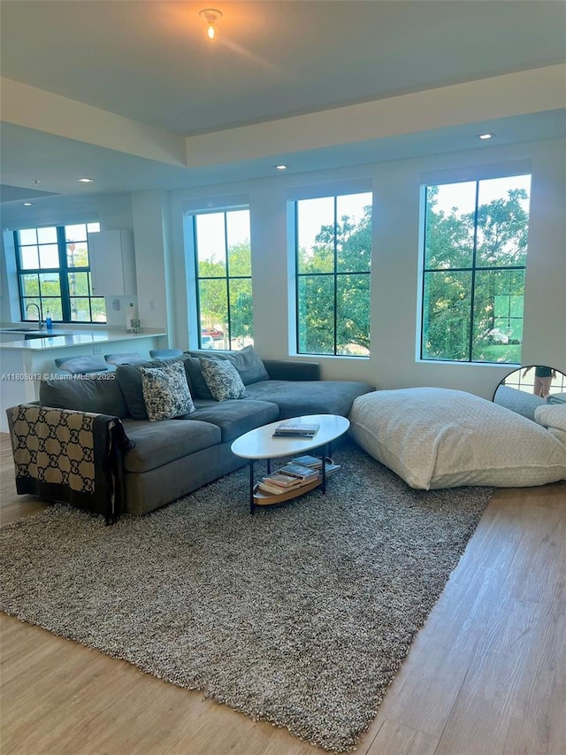 4100 SW 64th Ave Unit 201, Davie, FL 33314 - living room featuring light wood-style flooring, plenty of natural light, and recessed lighting