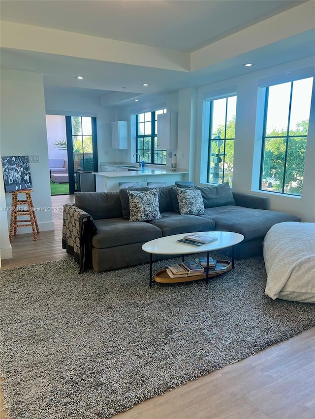 4100 SW 64th Ave Unit 201, Davie, FL 33314 - living room featuring light wood-type flooring, recessed lighting, and baseboards