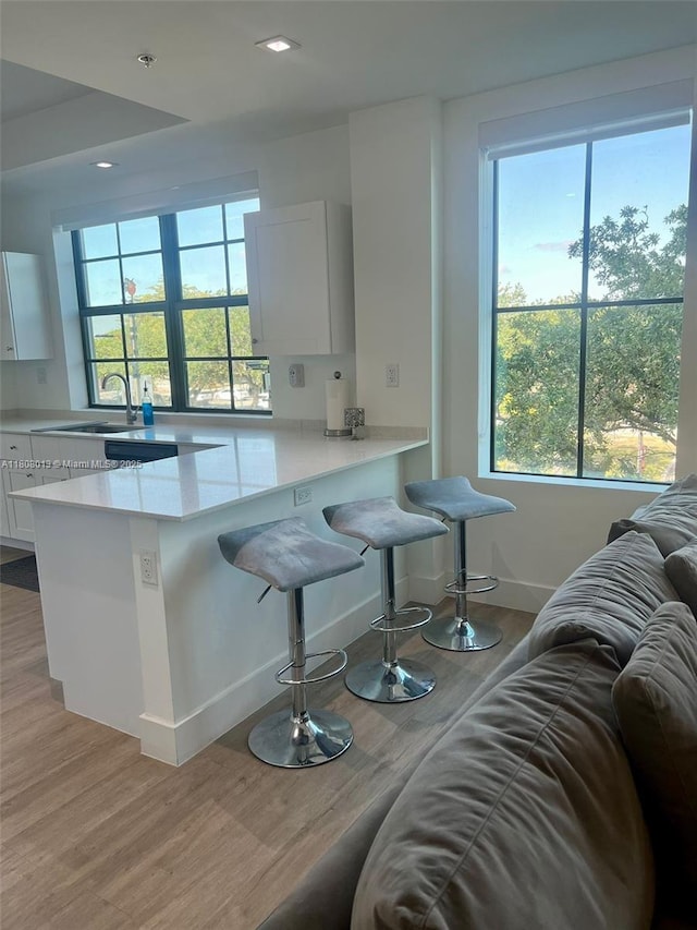 4100 SW 64th Ave Unit 201, Davie, FL 33314 - kitchen with light wood finished floors, a sink, plenty of natural light, light countertops, and recessed lighting