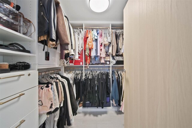 1000 Brickell Plz Unit 4209, Miami, FL 33131 - view of spacious closet