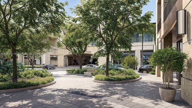 4241 Aurora St Unit 701, Coral Gables, FL 33146 - view of community