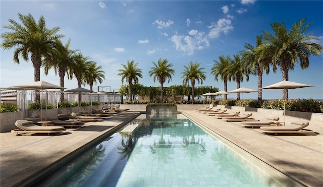 4241 Aurora St Unit 701, Coral Gables, FL 33146 - community pool featuring a patio area