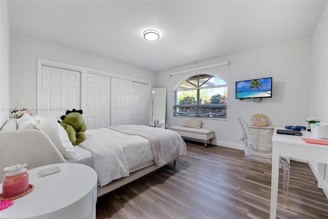 8005 SW 106th St, Miami, FL 33156 - bedroom with baseboards, wood finished floors, and a closet