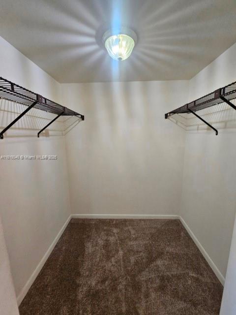900 Colony Point Cir Unit 505, Pembroke Pines, FL 33026 - spacious closet featuring carpet flooring