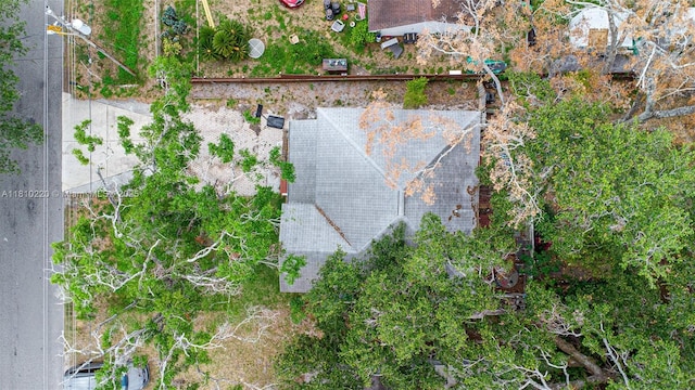 8304 N Orleans Ave, Tampa, FL 33604 - photo 3