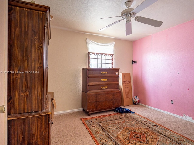 8304 N Orleans Ave, Tampa, FL 33604 - photo 9