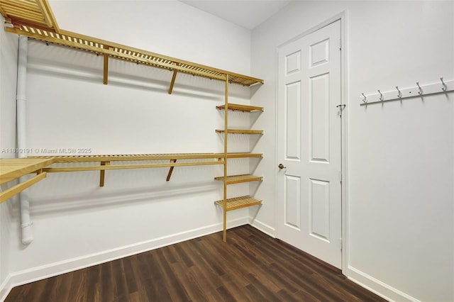 9212 Short Chip Cir, Port St Lucie, FL 34986 - walk in closet with dark wood-style floors