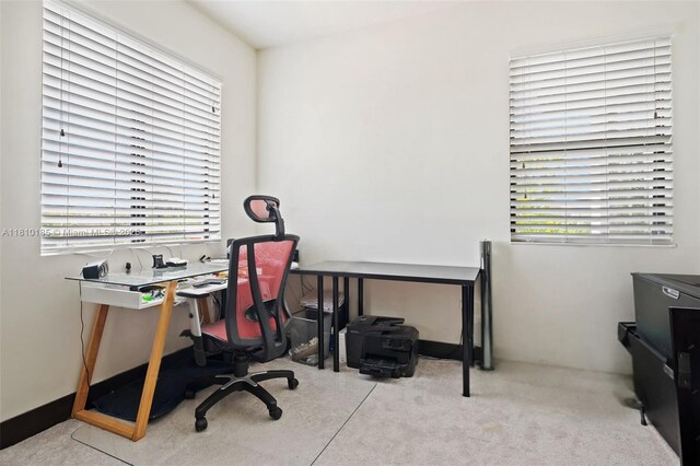 9145 NW 154th Ter, Miami Lakes, FL 33018 - office space with carpet floors and plenty of natural light