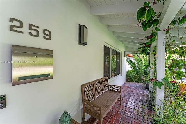 259 E Shore Dr E, Miami, FL 33133 - view of patio / terrace