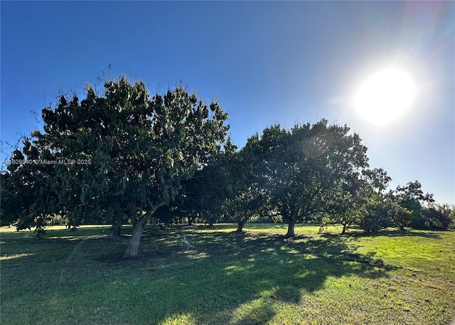 14300 SW 177th Ave, Miami, FL 33196 - view of green lawn