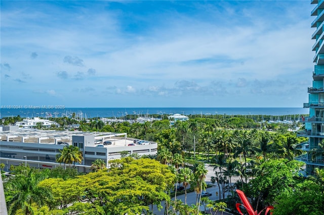 2655 S Bayshore Dr Unit 705, Miami, FL 33133 - water view