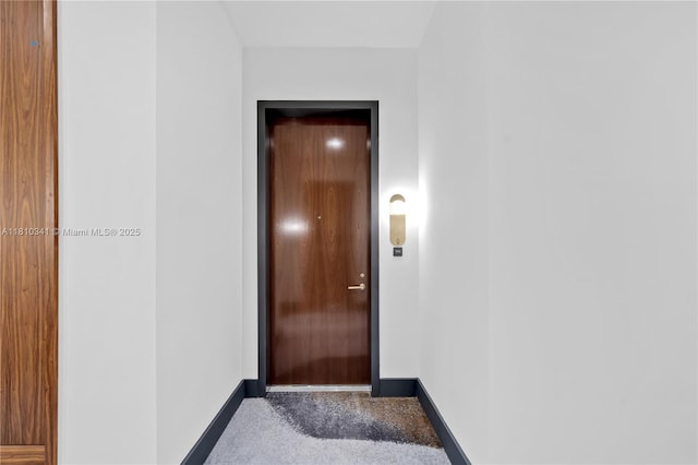 2655 S Bayshore Dr Unit 705, Miami, FL 33133 - doorway featuring baseboards, carpet floors, and elevator