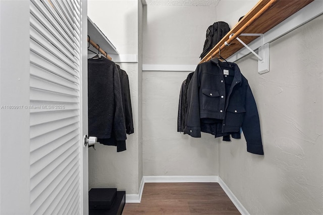 19380 Collins Ave Unit 317, Sunny Isles Beach, FL 33160 - spacious closet with wood finished floors