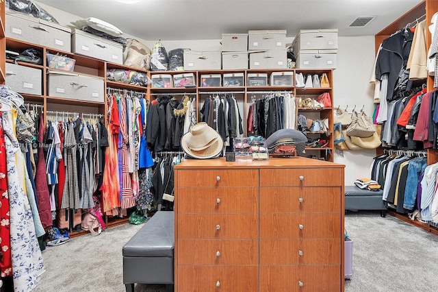 15960 SW 250th St, Homestead, FL 33031 - spacious closet with carpet
