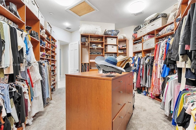 15960 SW 250th St, Homestead, FL 33031 - walk in closet with light carpet and attic access