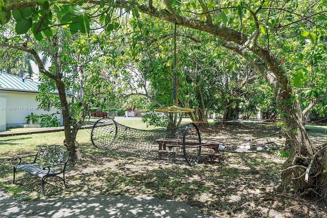 15960 SW 250th St, Homestead, FL 33031 - view of yard