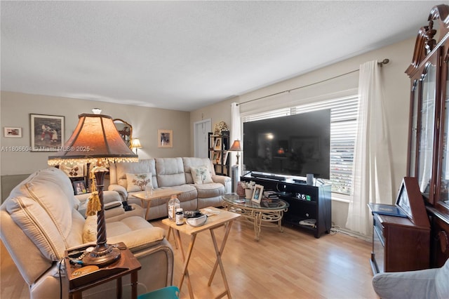 1090 NW 66th Ter, Margate, FL 33063 - living area featuring light wood-type flooring and a textured ceiling
