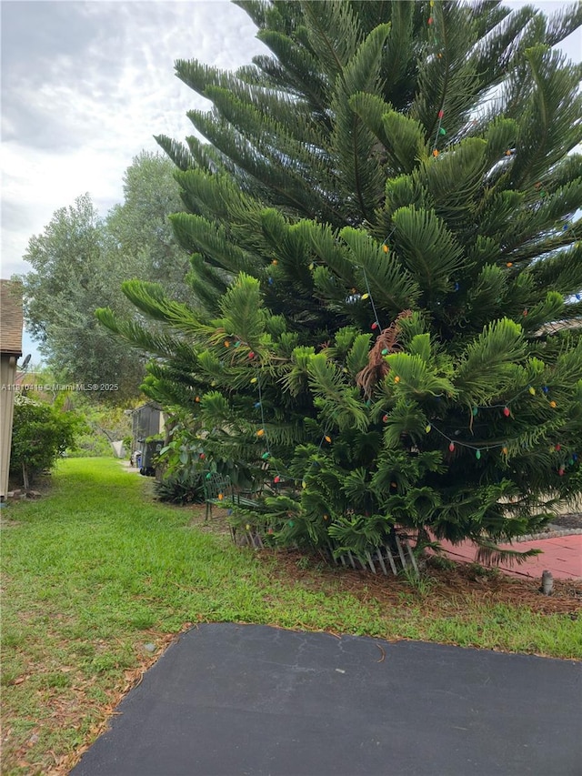 22374 SW 57th Cir, Boca Raton, FL 33428 - view of green lawn