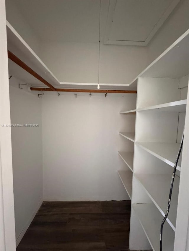 218 Windsor J Unit 218, West Palm Beach, FL 33417 - walk in closet featuring wood finished floors