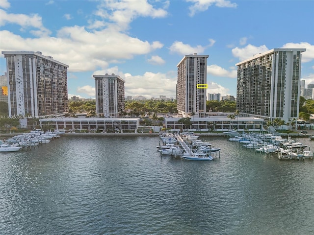 1901 Brickell Ave Unit B1114, Miami, FL 33129 - water view with nearby urban area, a marina, and a boat dock