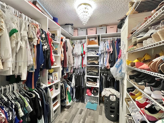 15333 SW 40th Ter, Miami, FL 33185 - walk in closet with wood finished floors