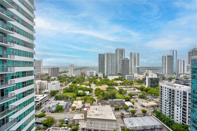 3301 NE 1st Ave Unit H2304, Miami, FL 33137 - skyline view featuring a nearby body of water