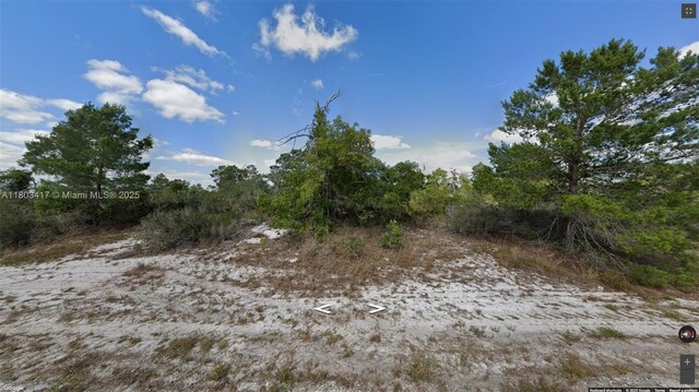 341 NE Galapagos Ave, Lake Placid, FL 33852 - photo 1
