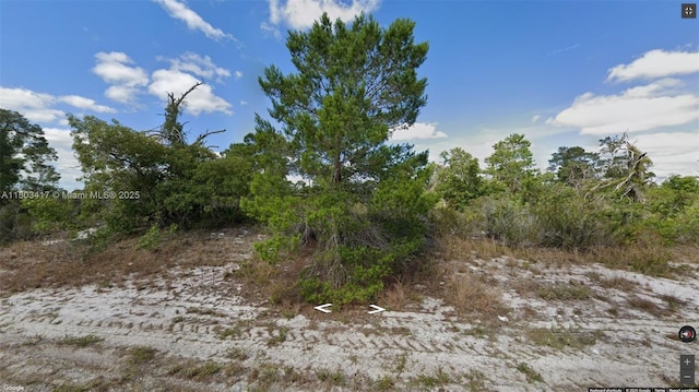341 NE Galapagos Ave, Lake Placid, FL 33852 - photo 2