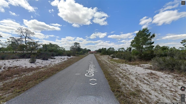 341 NE Galapagos Ave, Lake Placid, FL 33852 - photo 3