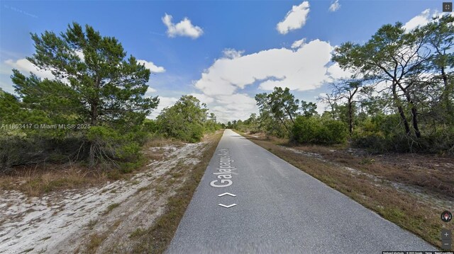 341 NE Galapagos Ave, Lake Placid, FL 33852 - photo 4