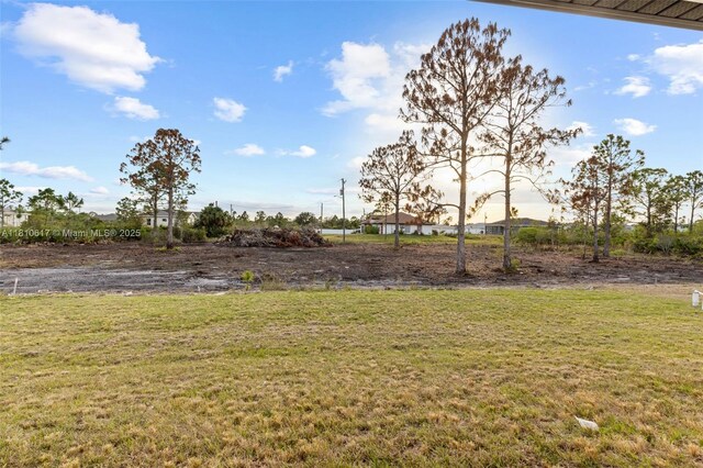 452 Mercedes Ct, Lehigh Acres, FL 33972 - view of yard