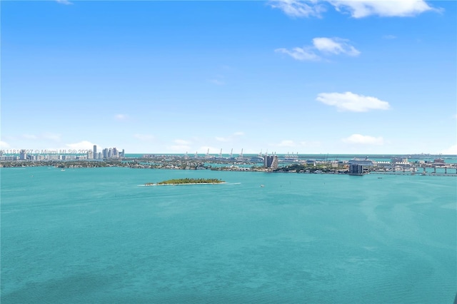 3131 NE 7th Ave Unit 3106, Miami, FL 33137 - water view featuring nearby urban area
