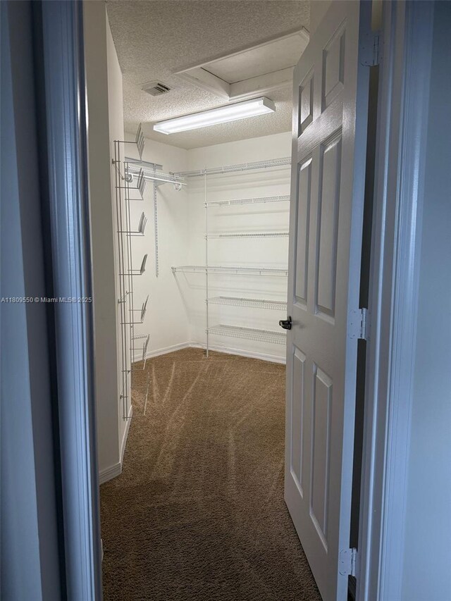 5552 NW 125th Ter, Coral Springs, FL 33076 - spacious closet with carpet floors