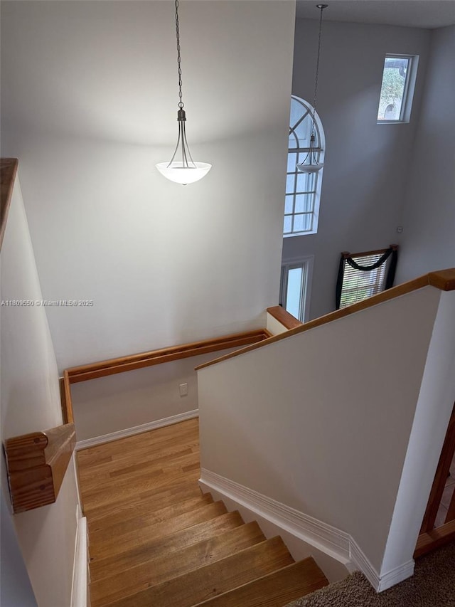 5552 NW 125th Ter, Coral Springs, FL 33076 - stairway with baseboards and wood finished floors