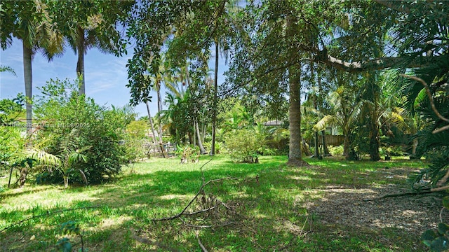 Royal Palm, Miami Beach, FL 33140