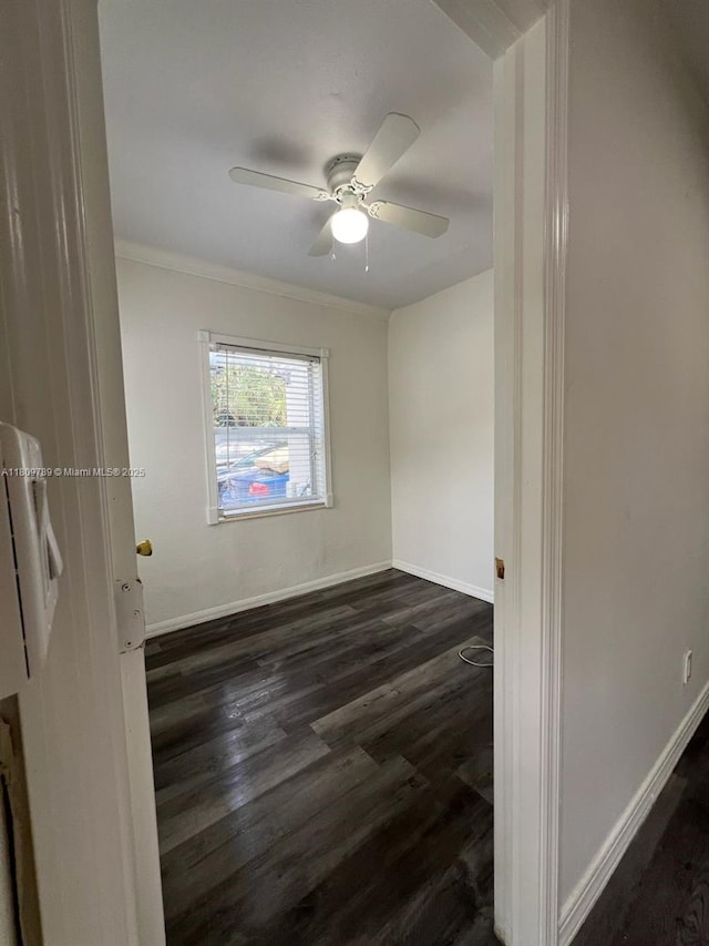 915 N 19th Ave, Hollywood, FL 33020 - spare room featuring dark wood-style flooring, baseboards, ceiling fan, and ornamental molding