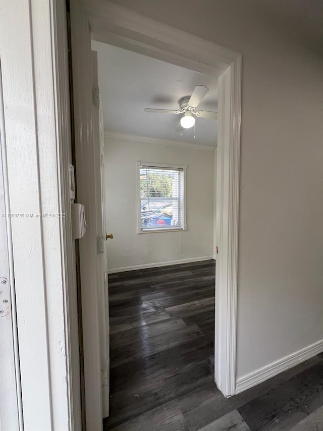 915 N 19th Ave, Hollywood, FL 33020 - corridor with crown molding, wood finished floors, and baseboards