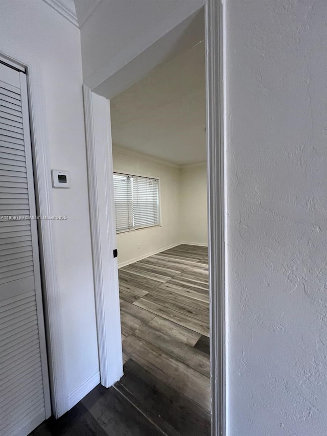 915 N 19th Ave, Hollywood, FL 33020 - photo 10
