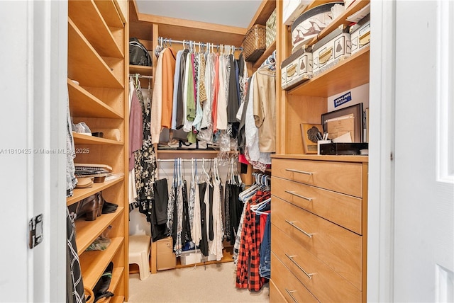 1819 SE 17th St Unit 1501, Fort Lauderdale, FL 33316 - view of walk in closet