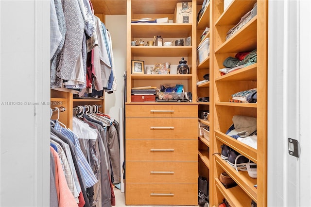 1819 SE 17th St Unit 1501, Fort Lauderdale, FL 33316 - view of walk in closet