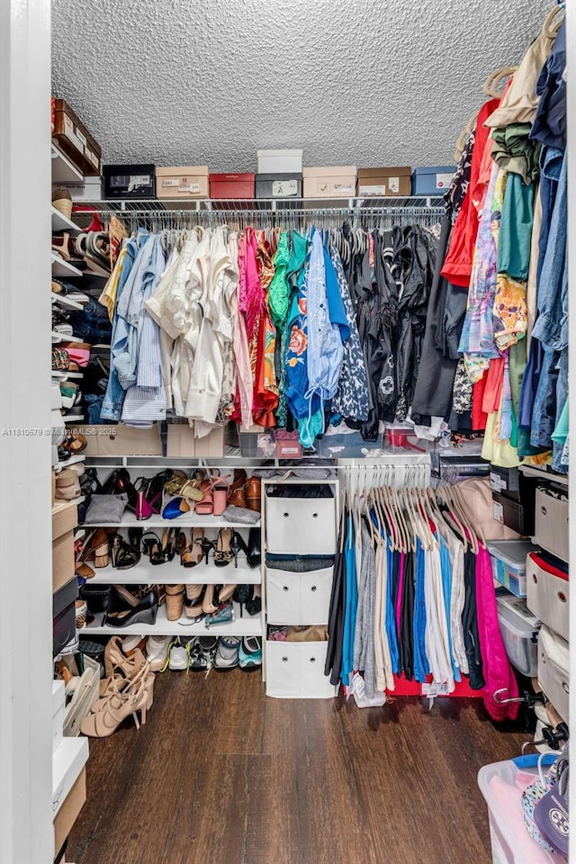 8341 SW 157th Ave Unit 304, Miami, FL 33193 - walk in closet with wood finished floors